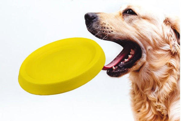 Top 10 Durable Plastic Toys for Dogs: Keep Your Pet Entertained and Active