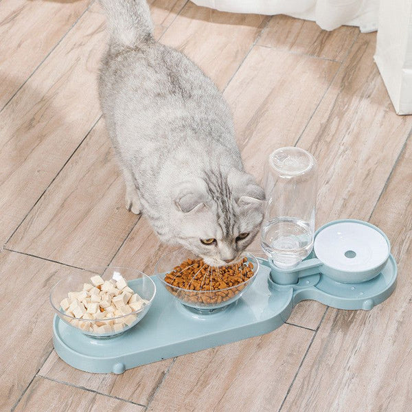 Revolutionize Pet Care: Top Benefits of an Automatic Pet Feeder & Waterer