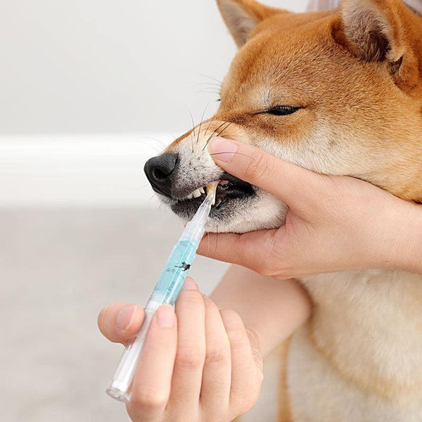 Ultimate Pet Teeth Repairing Kit: Restore Your Pet's Dental Health Today