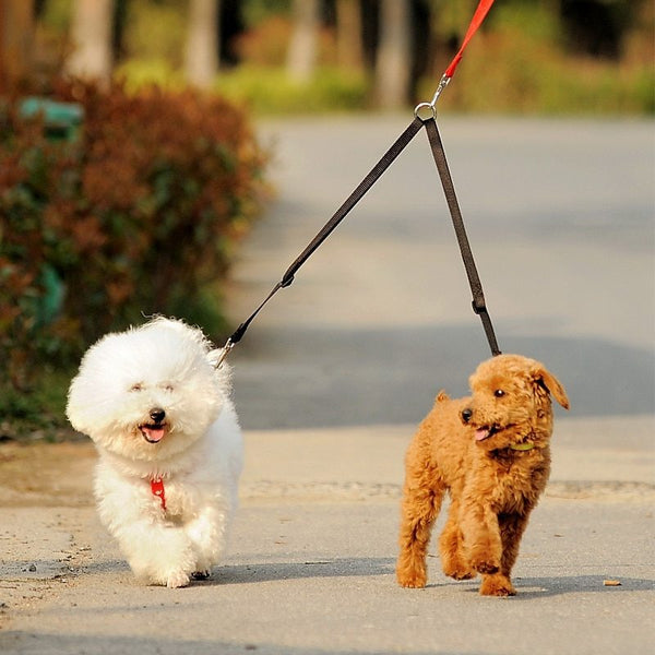 Double Twin Lead Pet Walking Leash: The Ultimate Solution for Tangle-Free Dog Walks