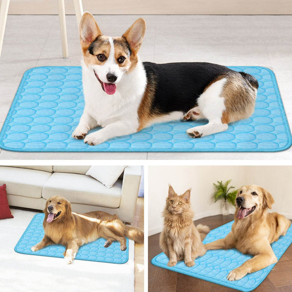 Ultimate Pet Cooling Mat Pad: Keep Your Pets Comfortable All Summer