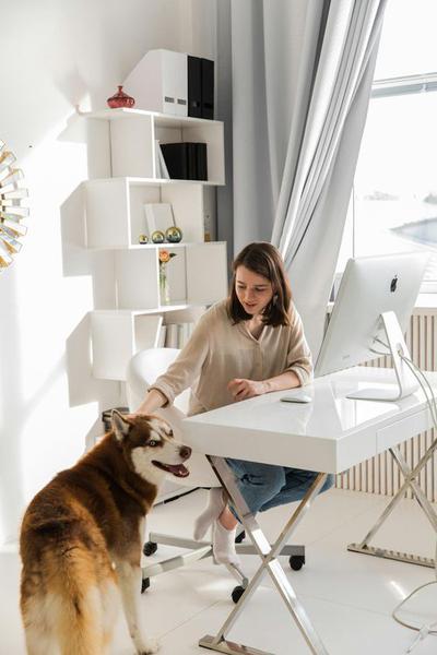 Comprehensive Guide to Pet Supplies: Everything You Need to Know