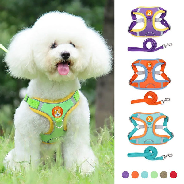 Discover the Best Adjustable Dog Harness Vest for Ultimate Comfort and Control